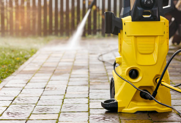 Animal Enclosure Cleaning in Heber Overgaard, AZ